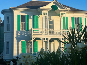 Lotus Galveston